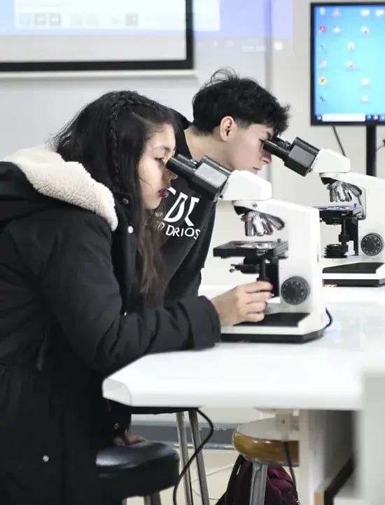 charlas y demostraciones en vivo