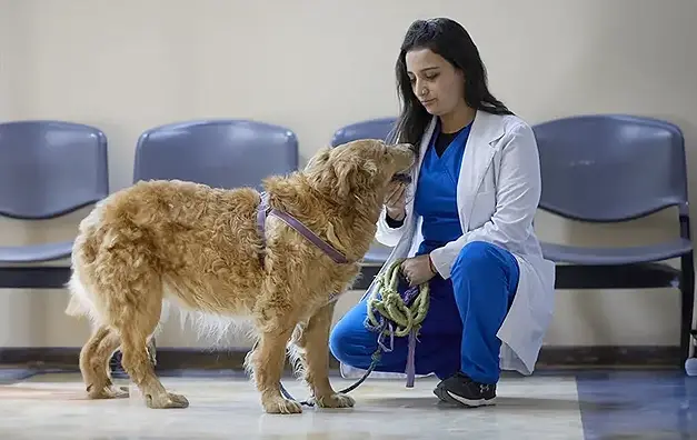Hospital Veterinario y Centro de Rehabilitación de Fauna Silvestre
